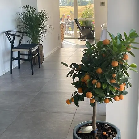 Villa Udsigtsvilla I Bakker *
